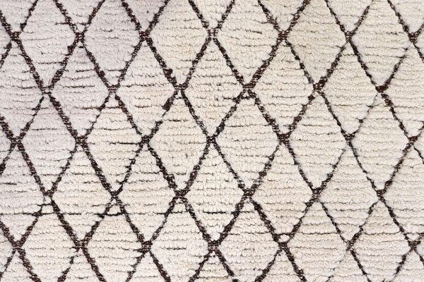 Moroccan Rug (8.2 x 10.5)ft