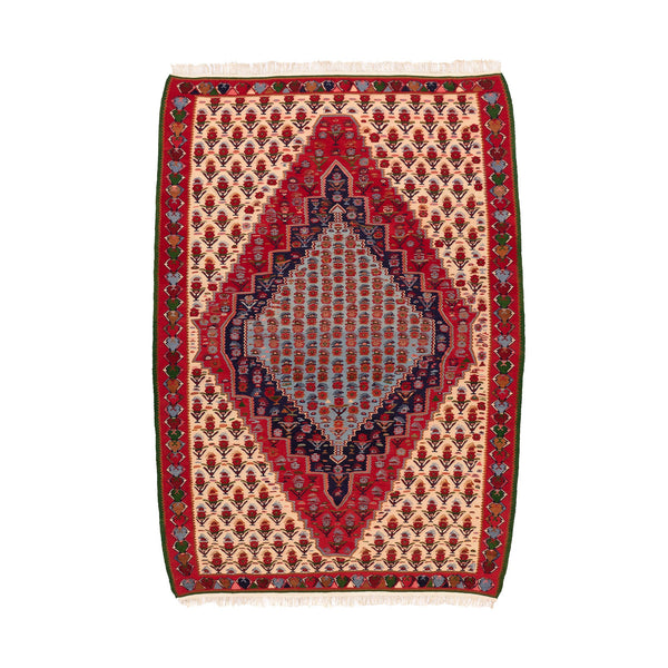 Senneh Kilim (5.8 x 8.2)ft