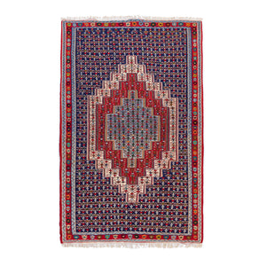 Senneh Kilim (6.2 x 9.4)ft