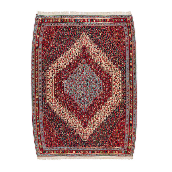 Senneh Kilim (6.9 x 9.3)ft