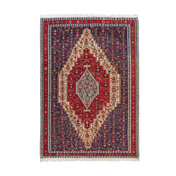 Senneh Kilim (6.6 x 9.3)ft
