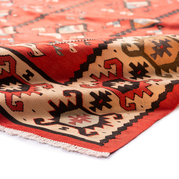 Sharkoy Kilim (6.7 x 10.2)ft