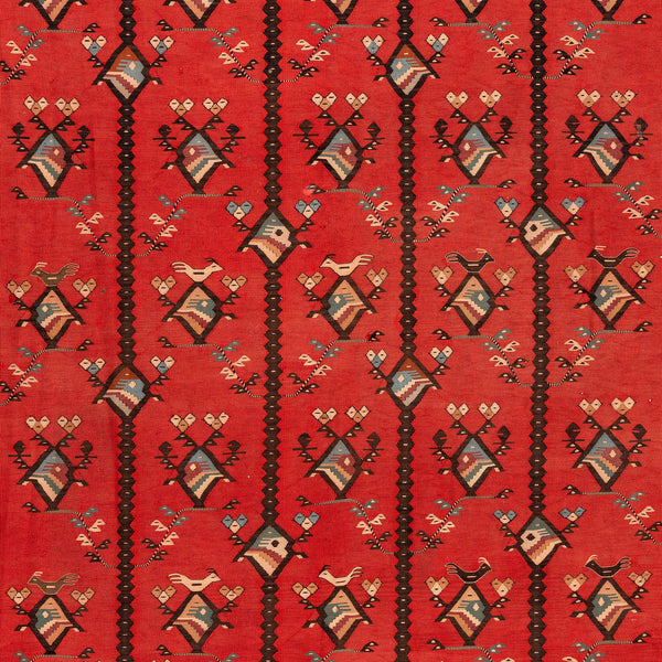 Sharkoy Kilim (6.7 x 10.2)ft