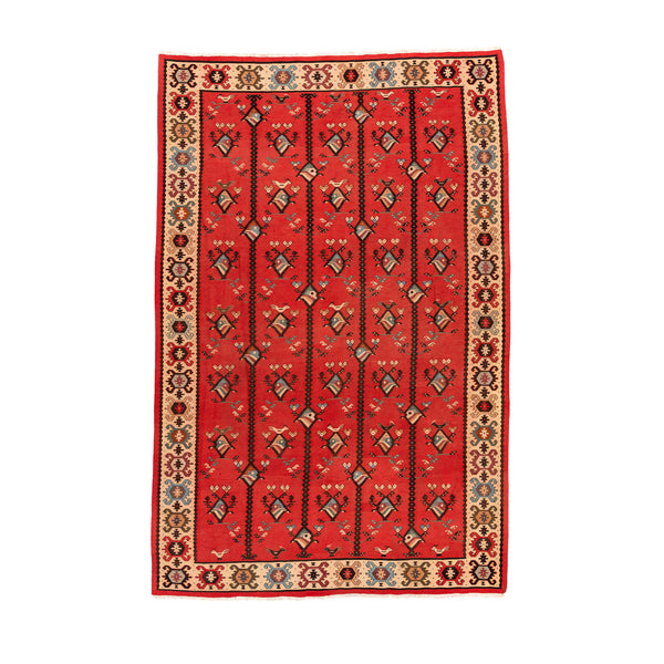 Sharkoy Kilim (6.7 x 10.2)ft