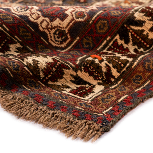 Golbarjasta Kilim (4.9 x 8.7)ft