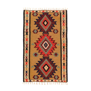 Ardebil Kilim (3.4 x 5.5)ft