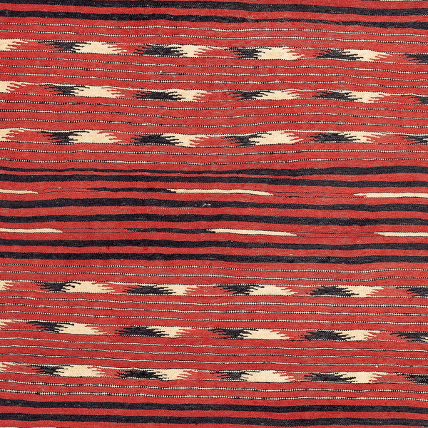 Turkmen Kilim (3.1 x 5.8)ft