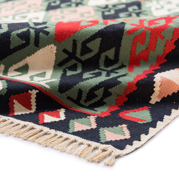 Ardebil Kilim (3.4 x 5.7)ft