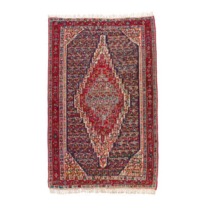 Senneh Kilim (6.2 x 9.4)ft